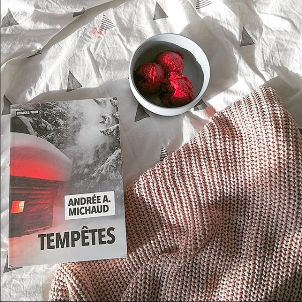 Temp?ªtes - Andr?©e A. Michaud