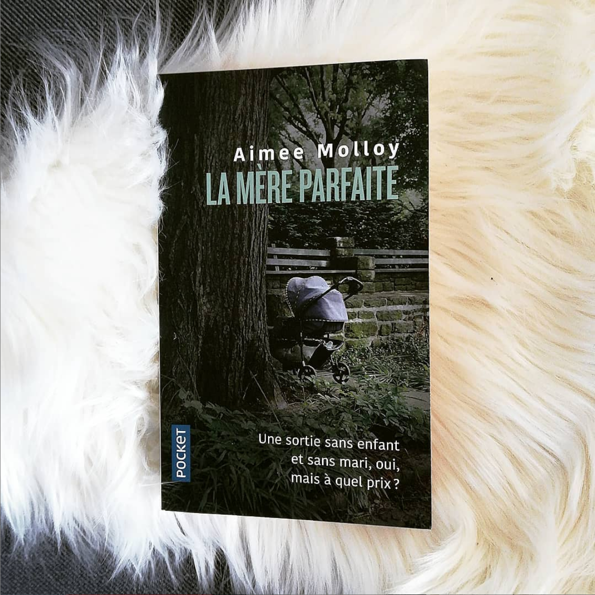 La Mère Parfaite - Aimee Molloy