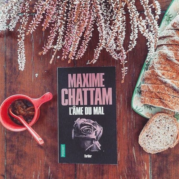 L'?¢me du mal - Maxime Chattam